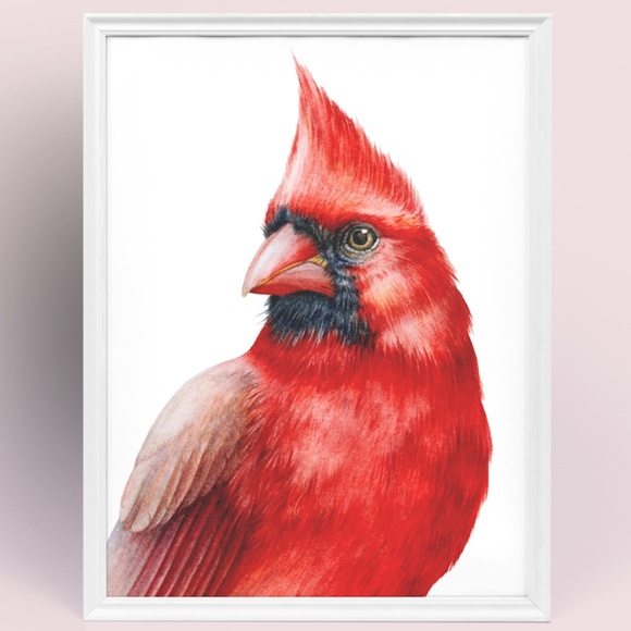 Cardinal Bird Watercolor Wall Art Print Poster Illustration Unframed - Picture 6 of 8